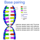 Image: Bio3B
